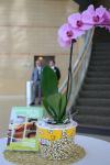 IMG 7085
